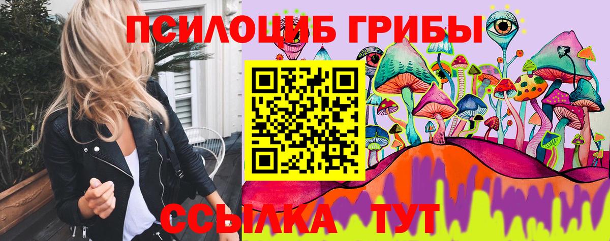 Псилоцибиновые грибы Psilocybine cubensis  где продают наркотики  Галлюциногенные грибы Cubensis  Артёмовский  Вход с VPN 